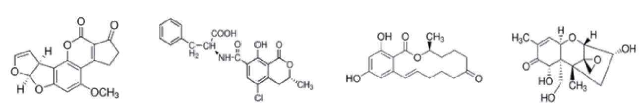 真菌毒素免疫親和柱