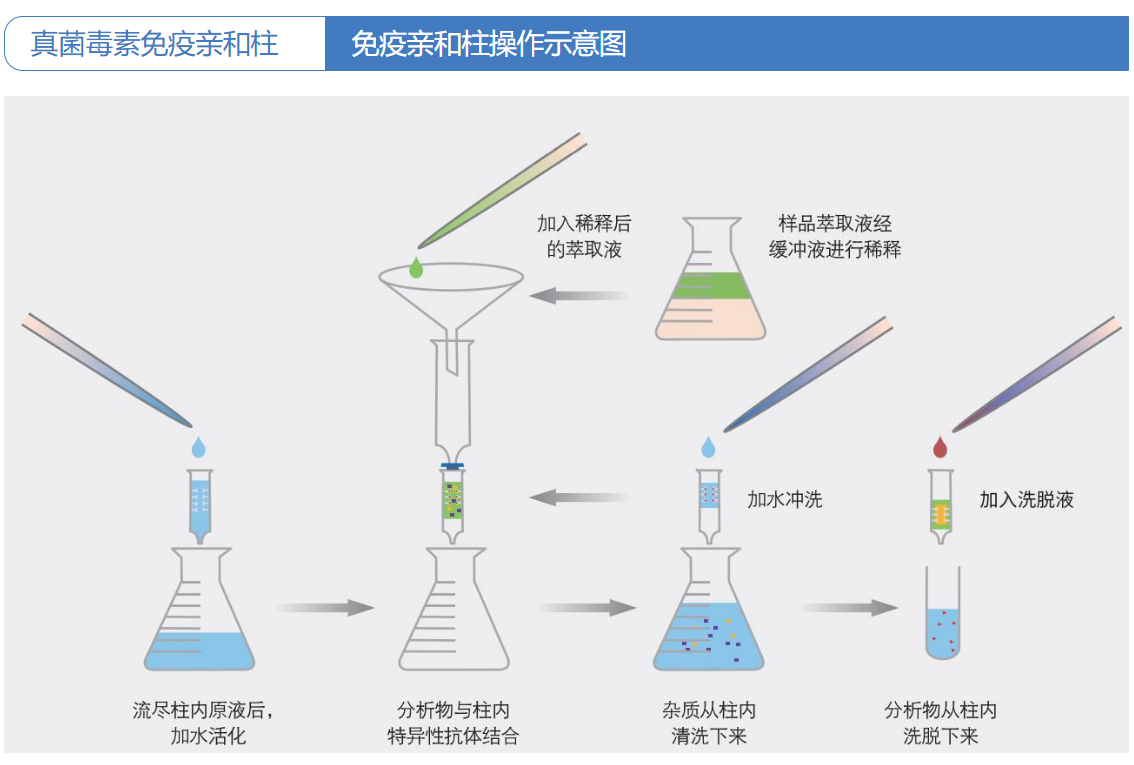 ed_1658129099680822.png image.png