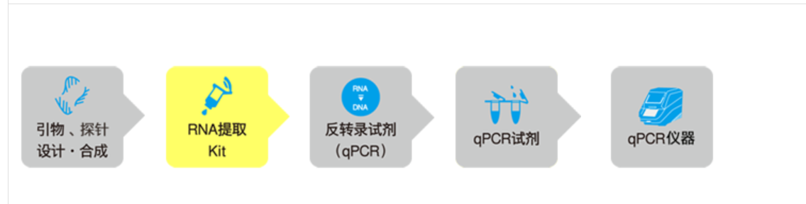 ed_1698455540180238.png image.png