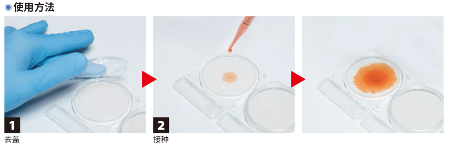 CompactDry 微生物快速測試片-1