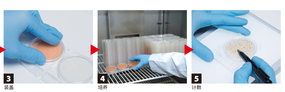 CompactDry 微生物快速測試片-2