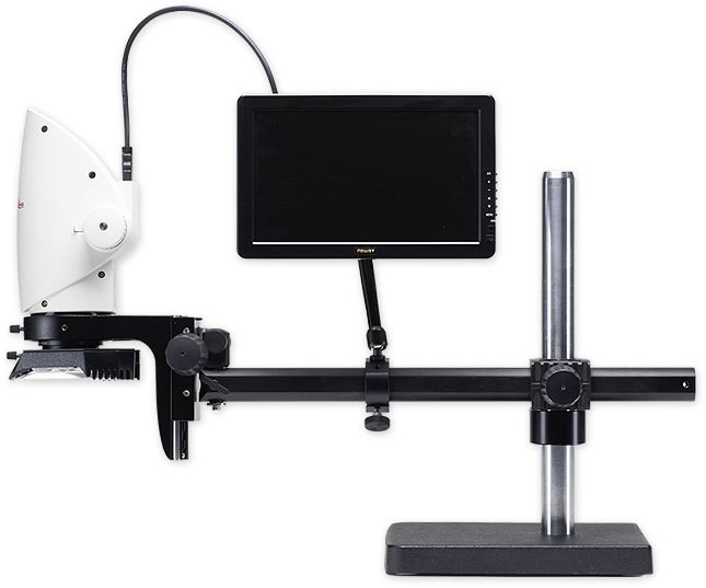 1478757674274542.jpg 2.jpg