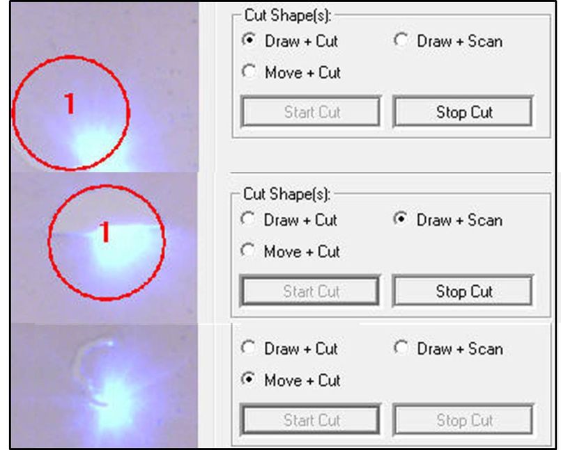 1568011622143071.jpg 4.jpg