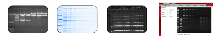 1583985401683852.png image.png