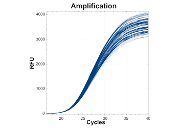 cq5dam.web.1280.1280 (7).png