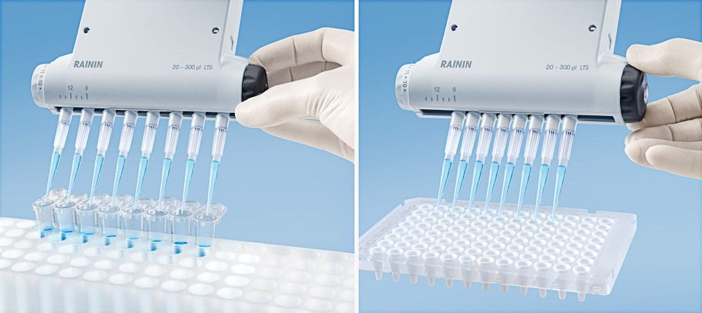 1611628706231680.jpeg cq5dam.web.1280.1280 (10).jpeg